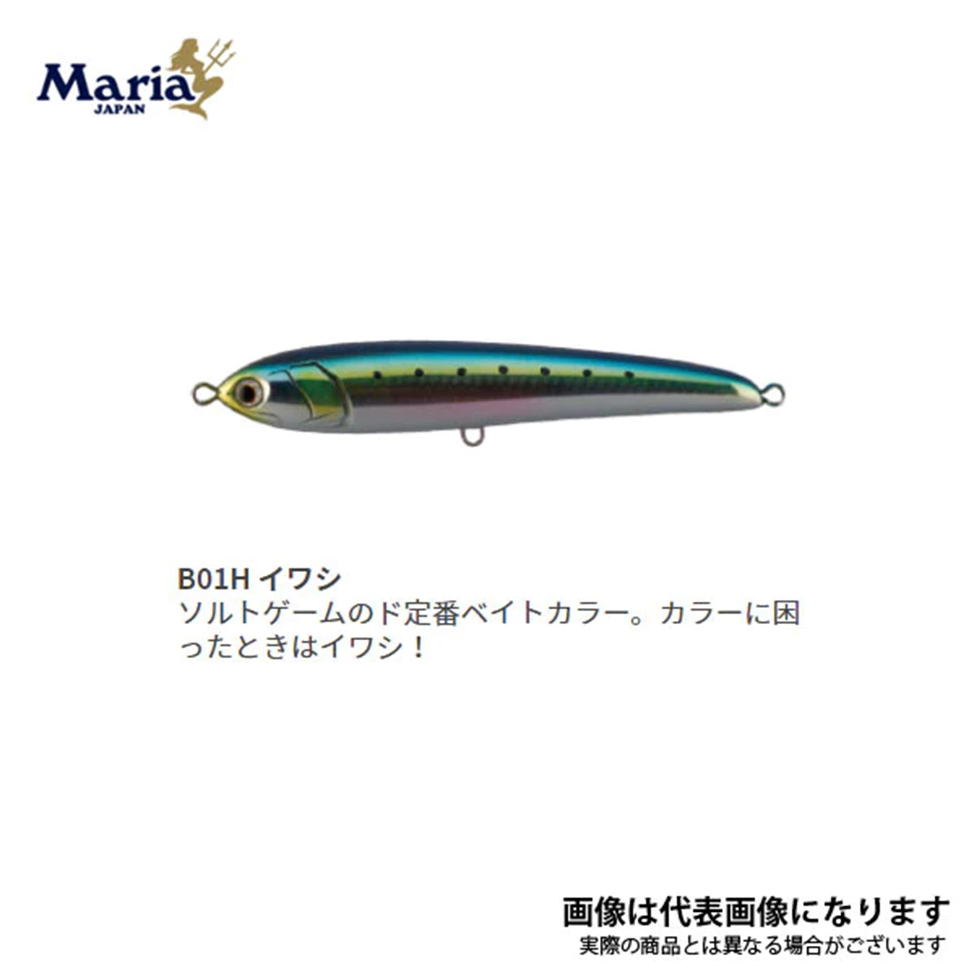Maria/ラピード F160 – SEASAW-ONLINE